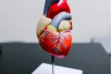 Blog Image 2